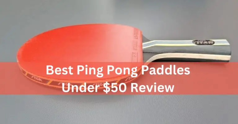 Best Ping Pong Paddles Under $50