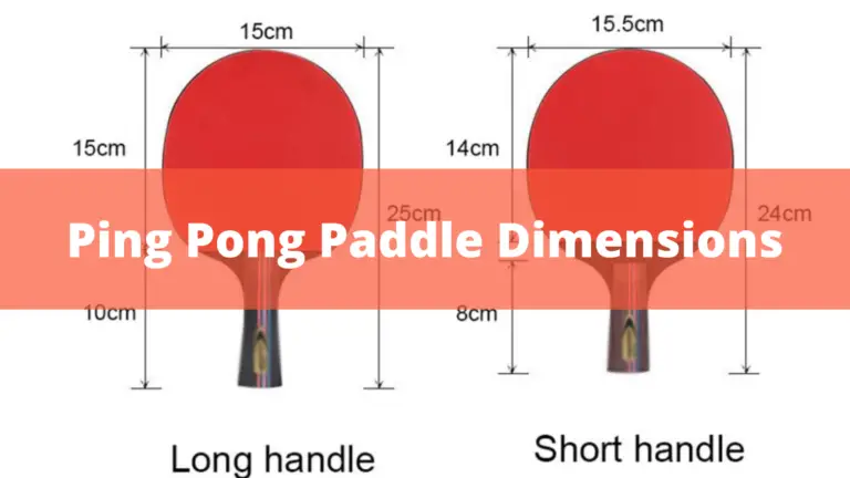 The Standard Ping Pong Paddle Dimensions – Buyer Guide In 2022